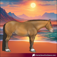 Horse Color:Gray Amber Cream Champagne 