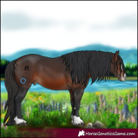 Horse Color:Brown 
