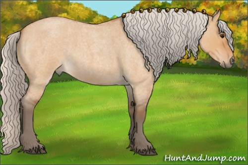 Horse Color:Silver Bay Roan Dun