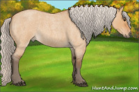 Horse Color:Silver Bay Roan Dun 