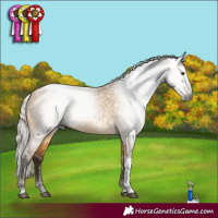 Horse Color:Gray Silver Buckskin Dun Tobiano 