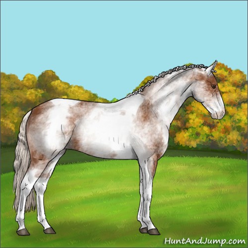 Horse Color:White Spotted Silver Buckskin Tobiano 