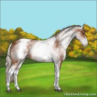 Horse Color:White Spotted Silver Buckskin Tobiano