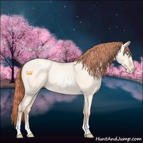 Horse Color:Sable Cream Champagne Pearl Dun 