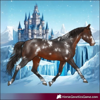 Horse Color:White Spotted Brown Appaloosa 