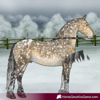 Horse Color:Buckskin Dun Mushroom Tobiano Appaloosa 