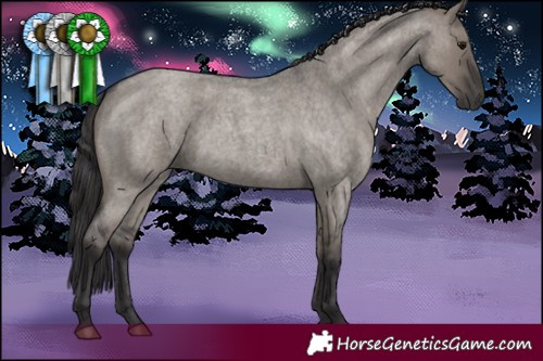 Horse Color:Smoky Grullo Roan Rabicano