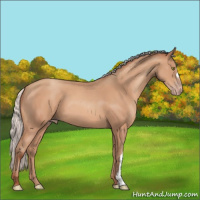 Horse Color:Silver Amber Champagne