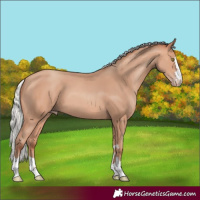 Horse Color:Silver Amber Champagne 