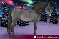 Horse Color:Smoky Blue Roan Rabicano 