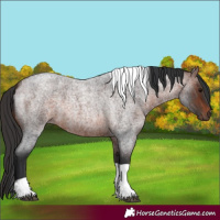 Horse Color:Brown Roan Tobiano 