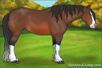 Horse Color:Brown Splash