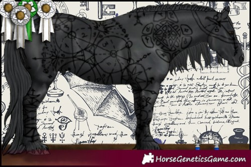 Horse Color:Black 