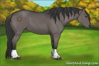 Horse Color:Black Tobiano 