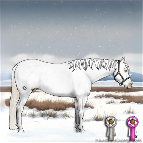 Horse Color:Chocolate Palomino Dun Tobiano Snowflake VarnishRabicano
