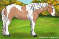 Horse Color:Silver Bay Roan Splash Tobiano 