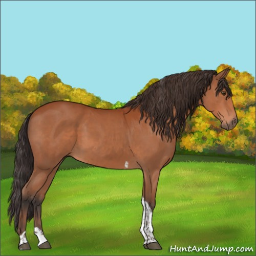 Horse Color:Bay Tobiano Rabicano