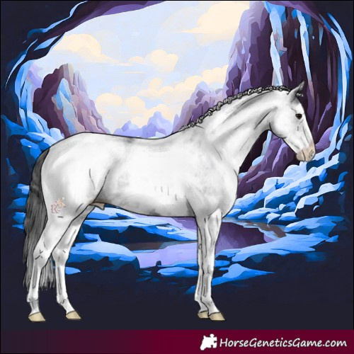 Horse Color:White Spotted Black 