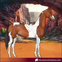 Horse Color:Bay Tobiano