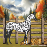 Horse Color:Black Near Leopard 