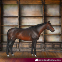 Horse Color:Brown 