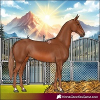 Horse Color:Chestnut 