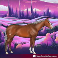 Horse Color:Silver Bay 