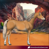 Horse Color:Palomino