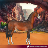 Horse Color:Brown 