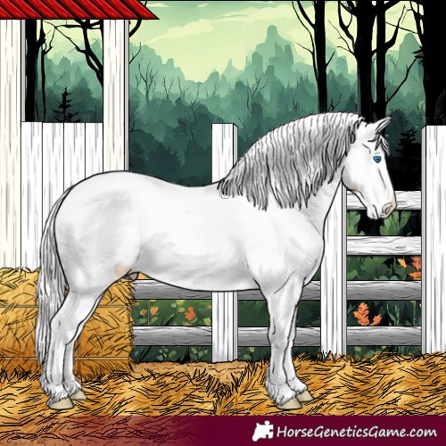 Horse Color:Silver Classic Champagne Dun Splash Frame Appaloosa 