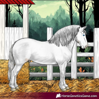 Horse Color:Silver Classic Champagne Dun Splash Frame Appaloosa 