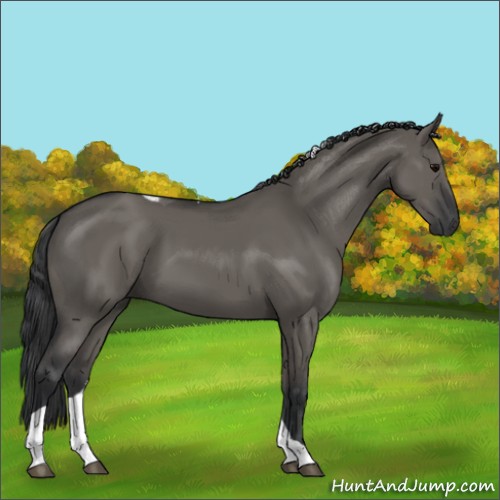 Horse Color:Grullo Tobiano 