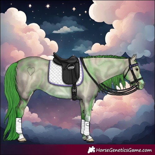 Horse Color:Watercolor Bay Dun 