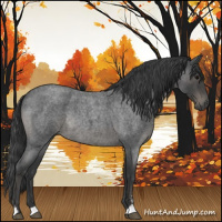 Horse Color:Blue Roan Sabino Rabicano