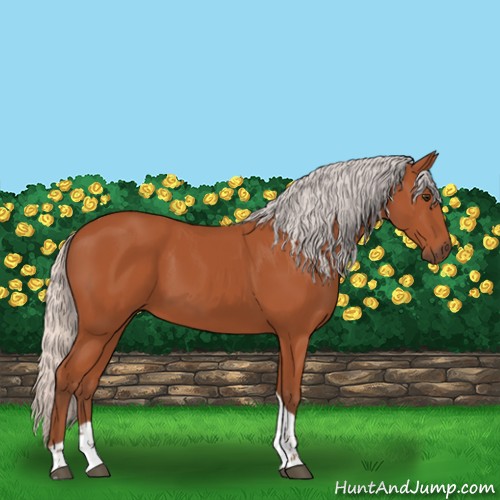 Horse Color:Silver Bay Tobiano Rabicano