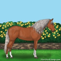Horse Color:Silver Bay Tobiano Rabicano 