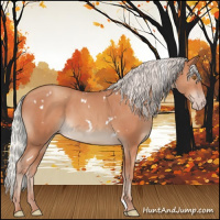 Horse Color:White Spotted Silver Classic Champagne Sabino Rabicano