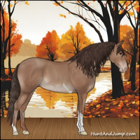 Horse Color:Classic Champagne Sabino Tobiano Rabicano