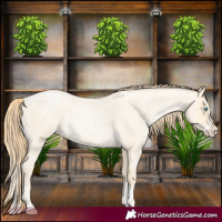 Horse Color:Buckskin Roan Pearl  and Buckskin Roan Pearl Splash 