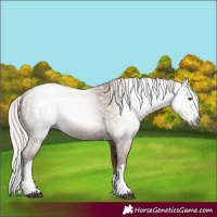 Horse Color:Gray Silver Black Pearl Tobiano 