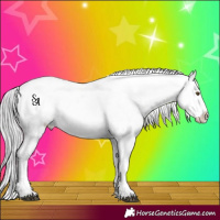 Horse Color:Platinum Chocolate Palomino Blanket Rabicano 
