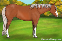 Horse Color:Silver Bay 