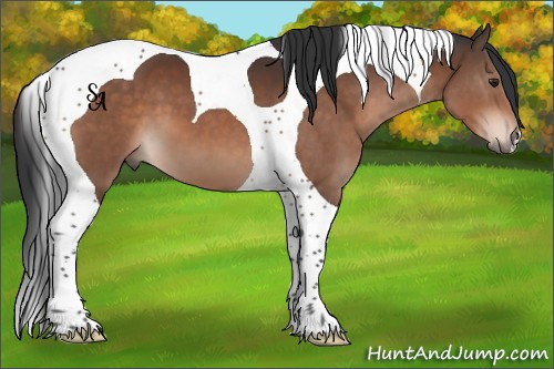 Horse Color:Brown Tobiano 