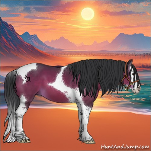 Horse Color:Bay Splash Tobiano