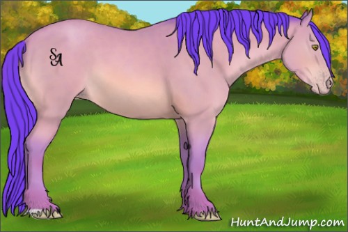 Horse Color:Watercolor Sable Champagne 