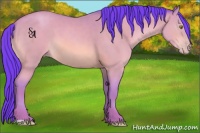 Horse Color:Watercolor Sable Champagne 