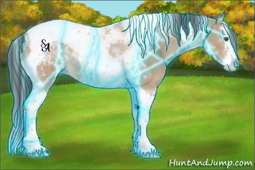 Horse Color:Thunderstruck Bay Dun Splash Tobiano