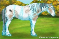 Horse Color:Thunderstruck Bay Dun Splash Tobiano 