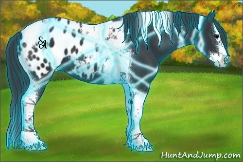 Horse Color:Thunderstruck Black Splash Tobiano Blanket