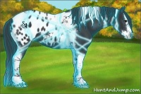 Horse Color:Thunderstruck Black Splash Tobiano Blanket 